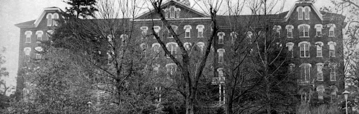 Whitman LLC 4