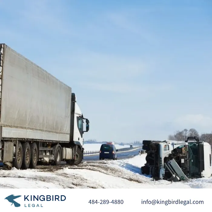 Kingbird Legal 4