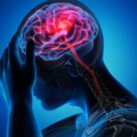 Wilk Law Personal Injury & Car Accident Lawyers ico