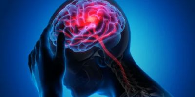 Wilk Law Personal Injury & Car Accident Lawyers