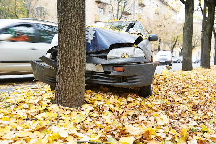 Wilk Law Personal Injury & Car Accident Lawyers 4