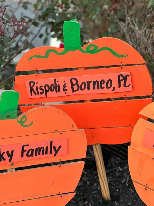 Rispoli & Borneo, P.C. 4