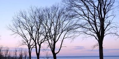 Gracie Point Property Consultants