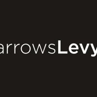 Barrows Levy PLLC ico