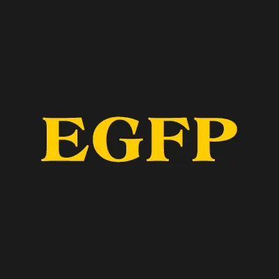 Eisenstat Gabage & Furman Pc 4