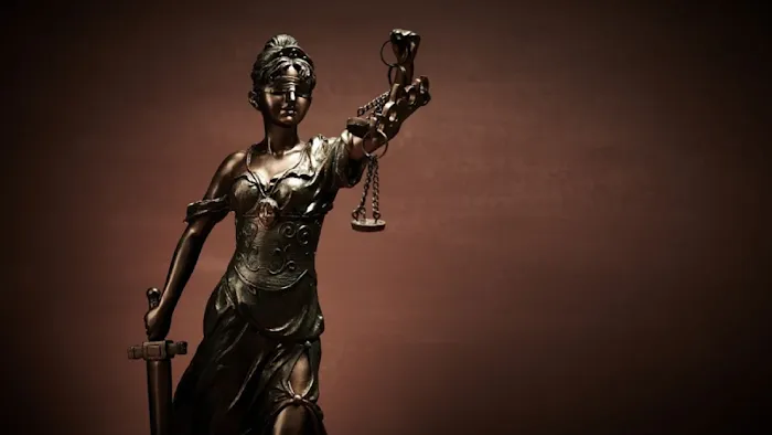 Fridie Law Group L.L.C. 4