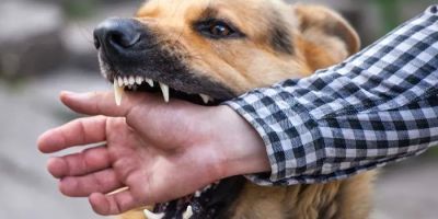 The Odierno Law Firm Accident and Injury Lawyers