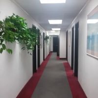 Ames Law Office ico