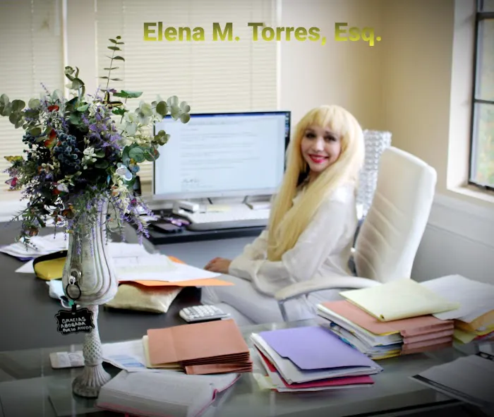 Law Office of Elena M. Torres 5