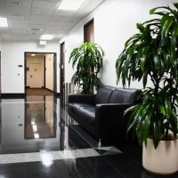 Omega Law Group Accident & Injury Attorneys ico