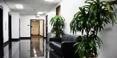 Omega Law Group Accident & Injury Attorneys
