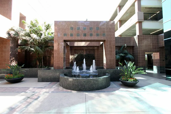 Law Office of Anthony J. Nunes 5
