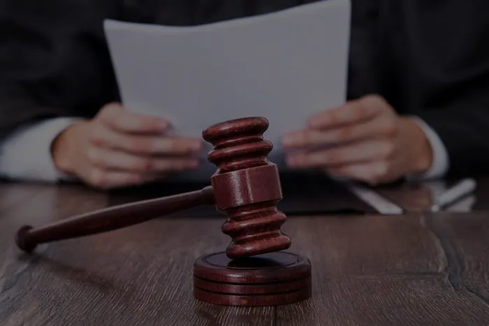 Roxana Shayan, Attorney at Law 5