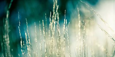 Thorsteinson Law - Divorce and Family Law
