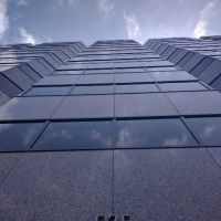 Law Offices of Louis M. Piscopo, APLC ico