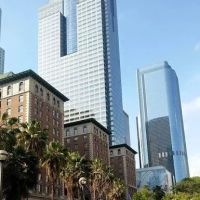 Frank Carvajal Law Offices ico