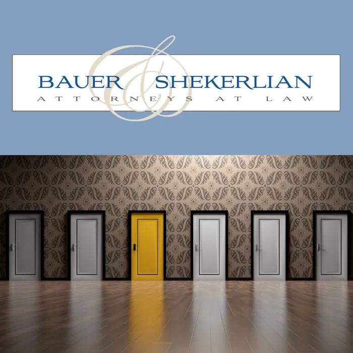 Bauer and Shekerlian Law, APC 4