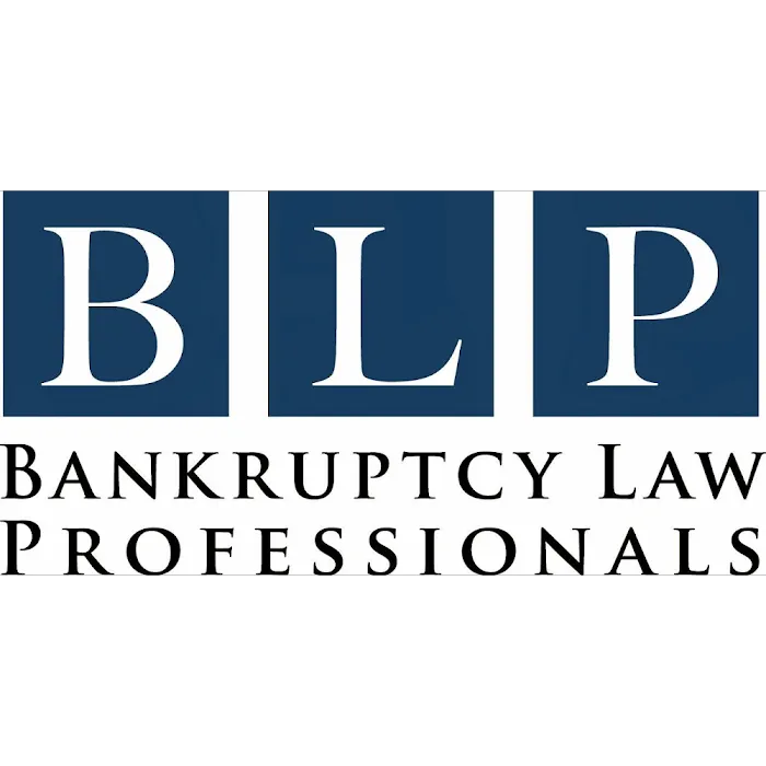 Bankruptcy Law Professionals 4