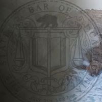 Law Offices of Charmaine Druyor ico