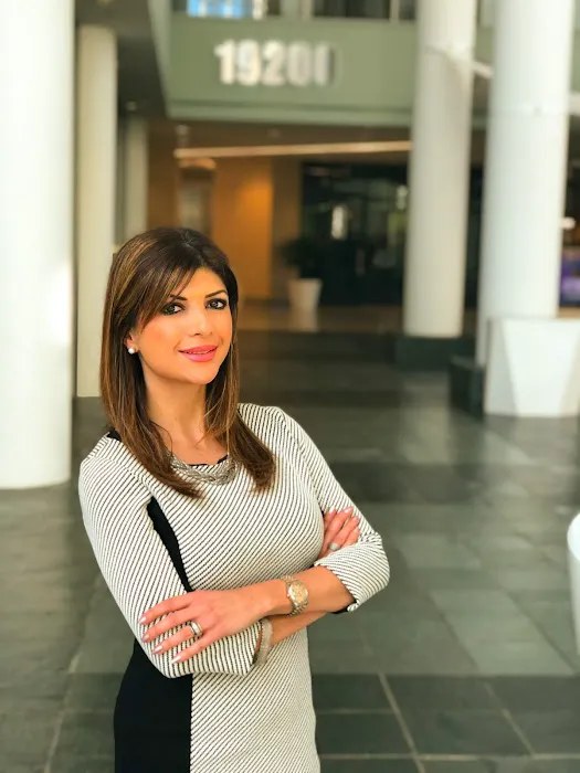 Law Offices of Shadi Sheidayi 4