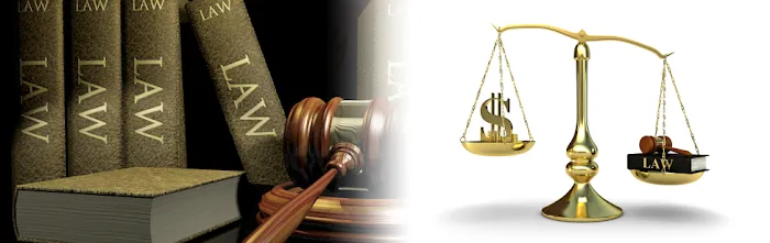 Law Office of Ray Dinari 4