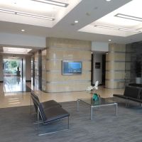 Richard L Trejo Law Firm ico