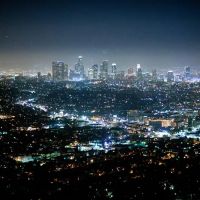 Alvarado Law ico