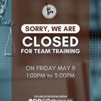 The Law Offices of Hani S. Bushra ico