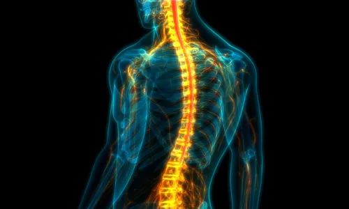 Sweeney Merrigan Personal Injury Lawyers 4