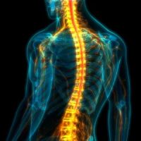 Sweeney Merrigan Personal Injury Lawyers ico