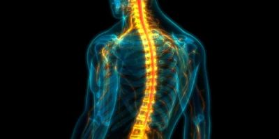 Sweeney Merrigan Personal Injury Lawyers
