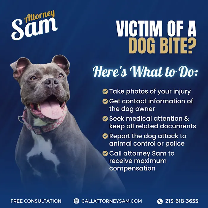 Attorney Sam - Personal Injury Lawyer 5