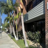 Glendale Injury Firm, APC ico