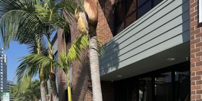 Glendale Injury Firm, APC
