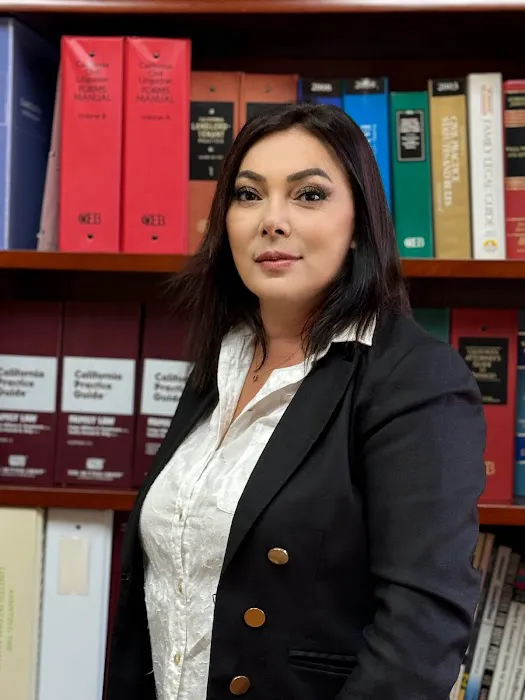 Law Offices of Liana Stepanyan 5