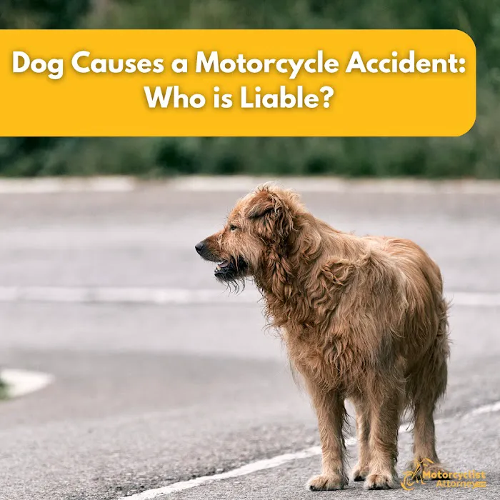 Motorcyclist Attorney 5