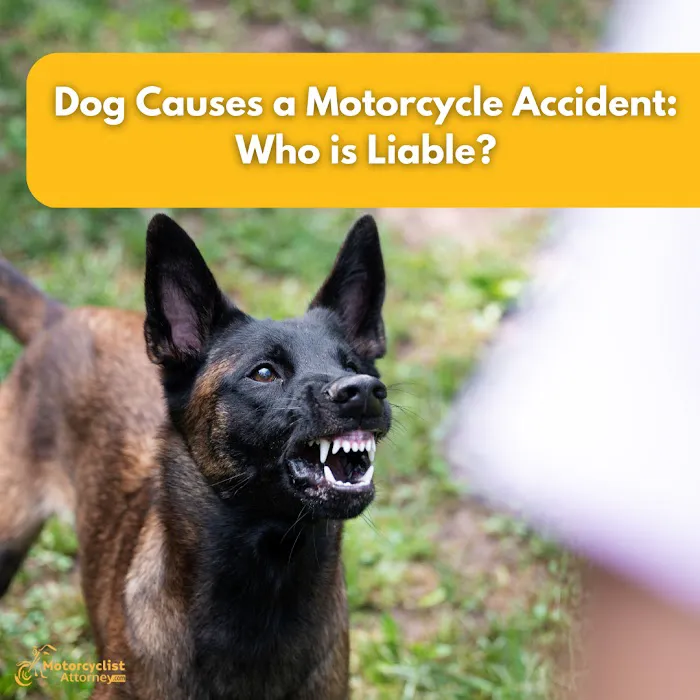 Motorcyclist Attorney 5