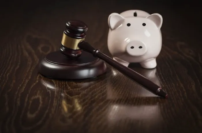Financial Recovery Law 5