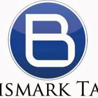 Bismark Tax, Inc. ico