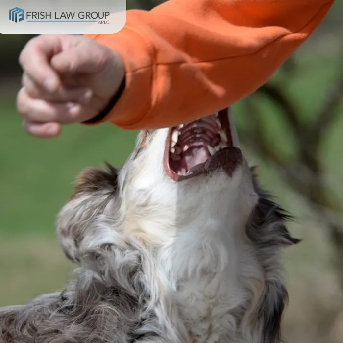 Frish Law Group, APLC | Personal Injury Attorneys LA 5