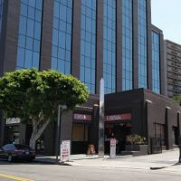 Senior Justice Law Firm | Nursing Home Abuse Attorneys ico