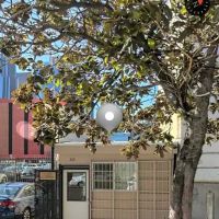 Ara Aznavuryan Law Offices ico
