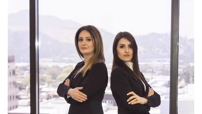 Papian & Adamian. A Professional Law 5