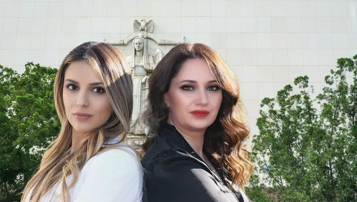 Papian & Adamian. A Professional Law 5
