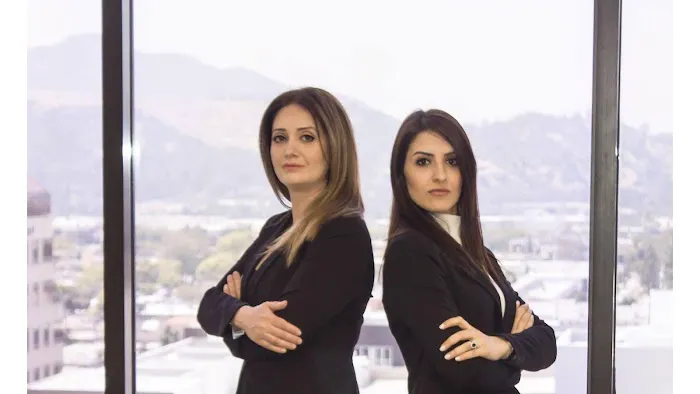 Papian & Adamian. A Professional Law 5