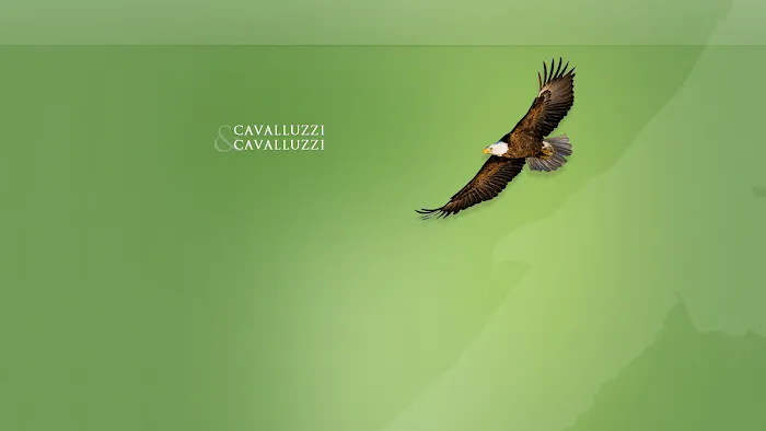 Cavalluzzi Law 5