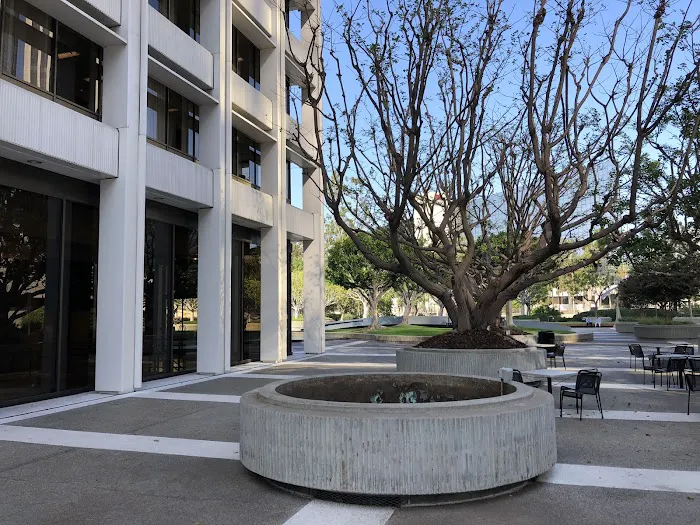 Law Offices of David Chesley, Criminal Defense Attorney - Los Angeles 5