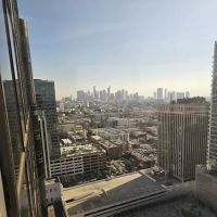 Ronzio & Associates ico