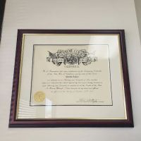 Law Offices of Adolfo Nabor ico