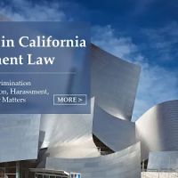 Sani Law, APC ico